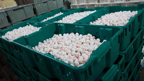 Food Factory S01E25 La crème de la crème en streaming