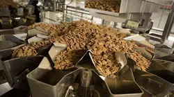 Food Factory Le saumon fumé