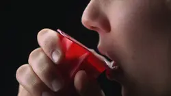 Food Factory Fort comme un boeuf