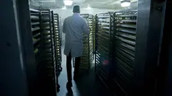 Food Factory Crôa de neuf ?