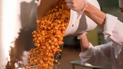 Food Factory  Des pralines à la harira