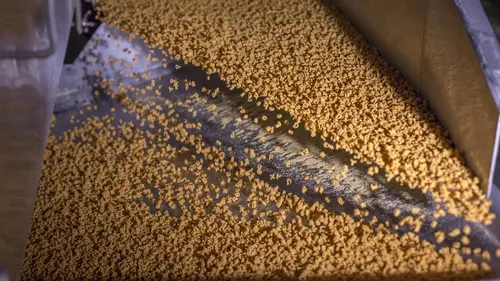 Food Factory S05E15 Pêches et Pâtes