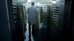 Food Factory Crôa de neuf ?