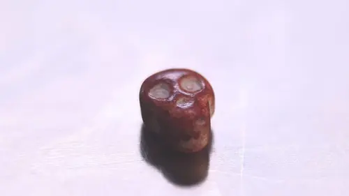 Food Factory Neige et glace