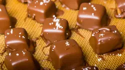 Food Factory Soupe et Graines de tournesol