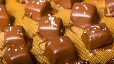 Soupe et Graines de tournesol