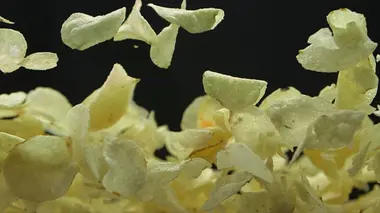 Les pommes de terre au four