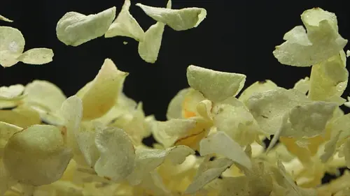 Food Factory Les pommes de terre au four