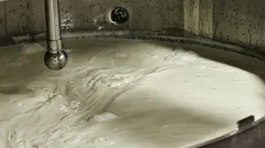 Le muffin du succès