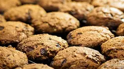 Sur TLC à 20h45 : Food Factory USA
