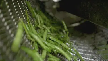 Haricots, Farfalle et Thé