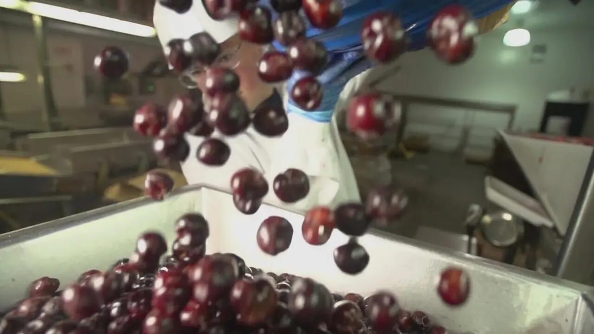 Food Factory USA Noix de pécan chocolatée, cannelle et fruits et légumes sucrés