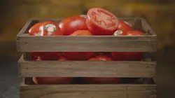 Food Factory USA Tomates et bâtonnets de fromage