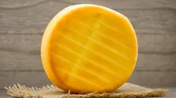 Food Factory USA Brownies et cheddar