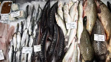 Le ventre de Bucarest : Le marché Obor