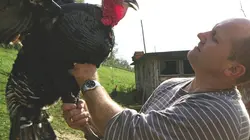 Food Markets  S02E03 Le ventre de Zagreb : Le marché Dolac