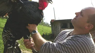 Le ventre de Zagreb : Le marché Dolac