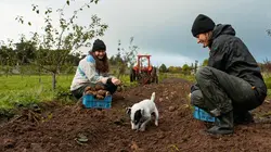 Food Markets S04E04 Le ventre de Cork : Le marché anglais