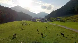 Food Markets Le ventre de Munich : Le marché Viktualienmarkt