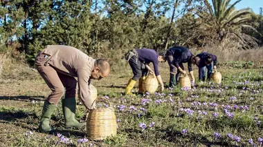 Le ventre de Cagliari : Le marché San Benedetto
