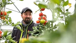 Food Markets  Le ventre de Hambourg : L'Isemarkt