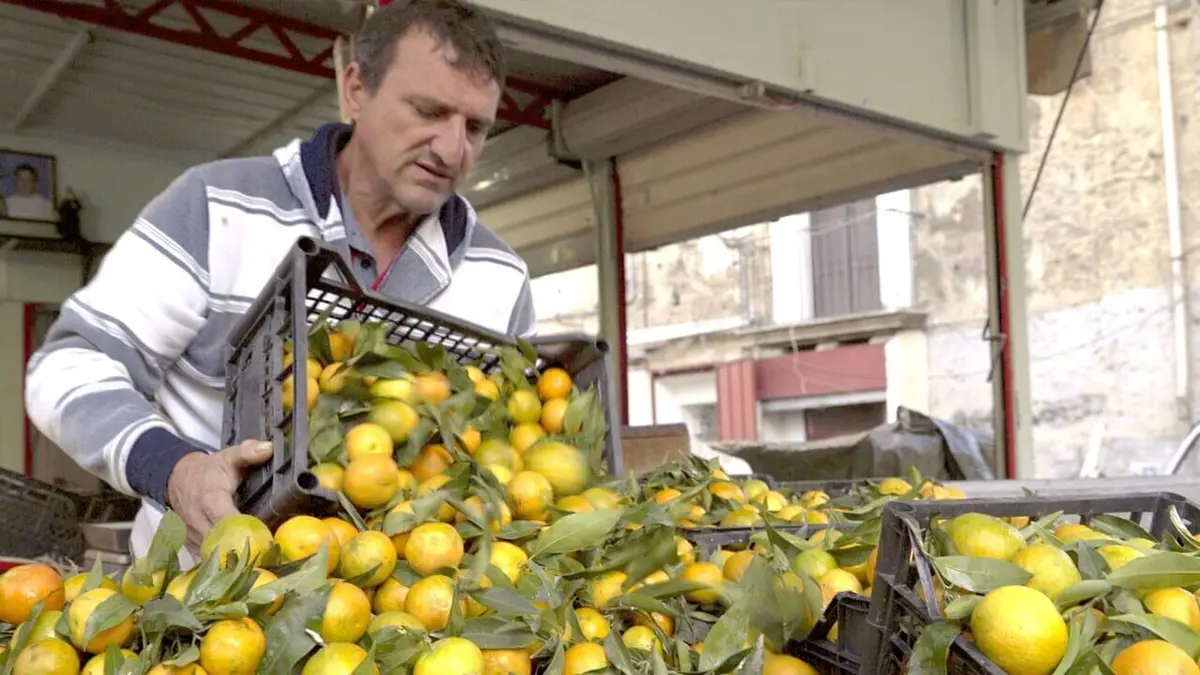Food Markets Le ventre de Palerme : Le marché de Ballaro