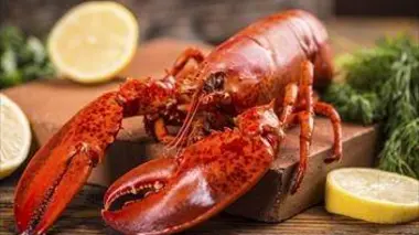 Food Paradise : les meilleures adresses S05E01 Péché de gourmandise