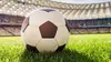 Football : Championnat des Pays-Bas