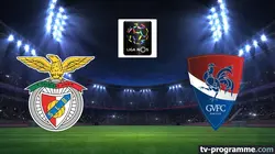 Visuel de Benfica Lisbonne / Gil Vicente