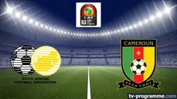 Afrique du Sud / Cameroun Football Coupe d'Afrique des nations 2026
