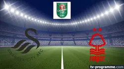 Sur beIN SPORTS 1 à 21h00 : Swansea City / Nottingham Forest