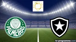 Palmeiras / Botafogo