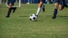 Football Coupe du monde féminine U17