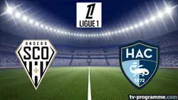 Visuel de Angers / Le Havre