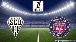 Visuel de Angers / Toulouse