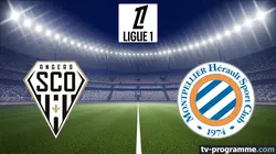 Visuel de Angers / Montpellier