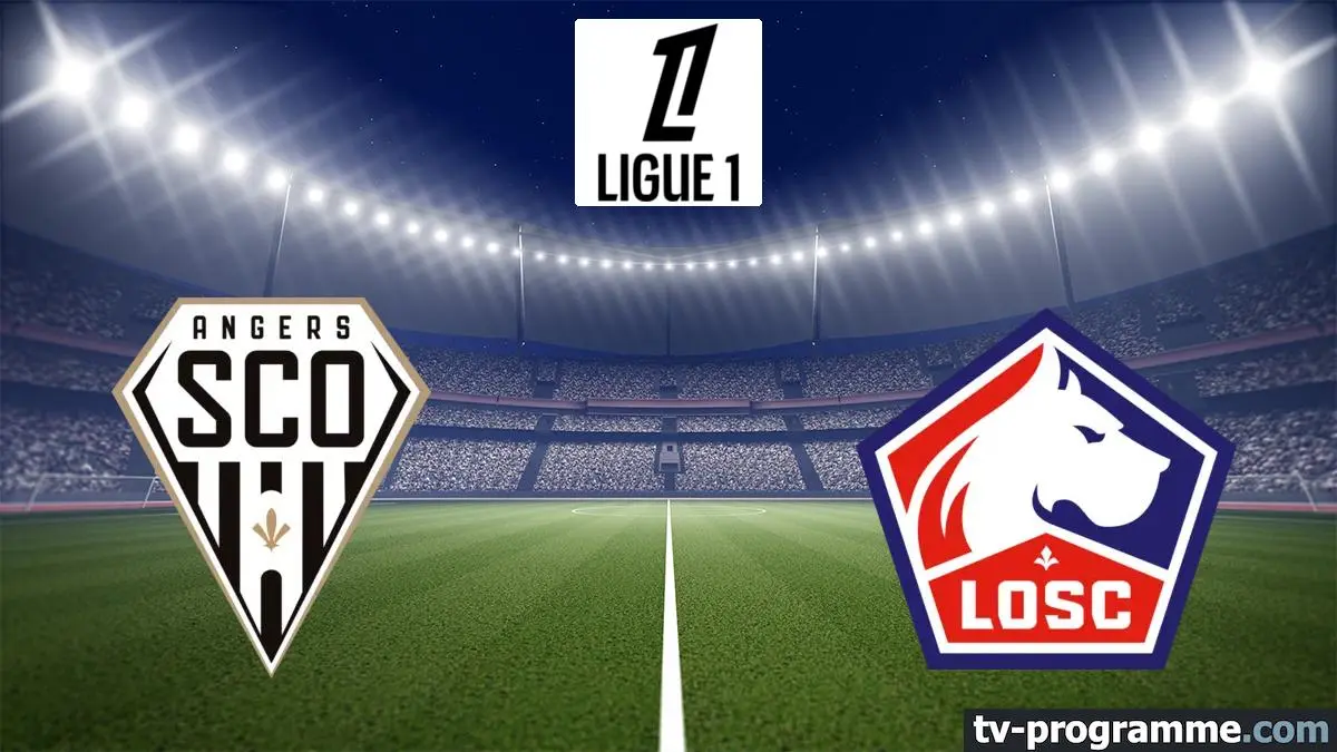 Angers / Lille Football Ligue 1 McDonald's 2024-2025