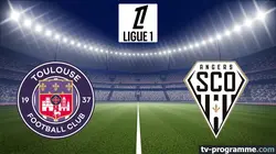 Visuel de Toulouse / Angers