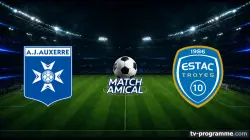 Visuel de Auxerre / Troyes