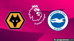 Visuel de Wolverhampton / Brighton & Hove Albion