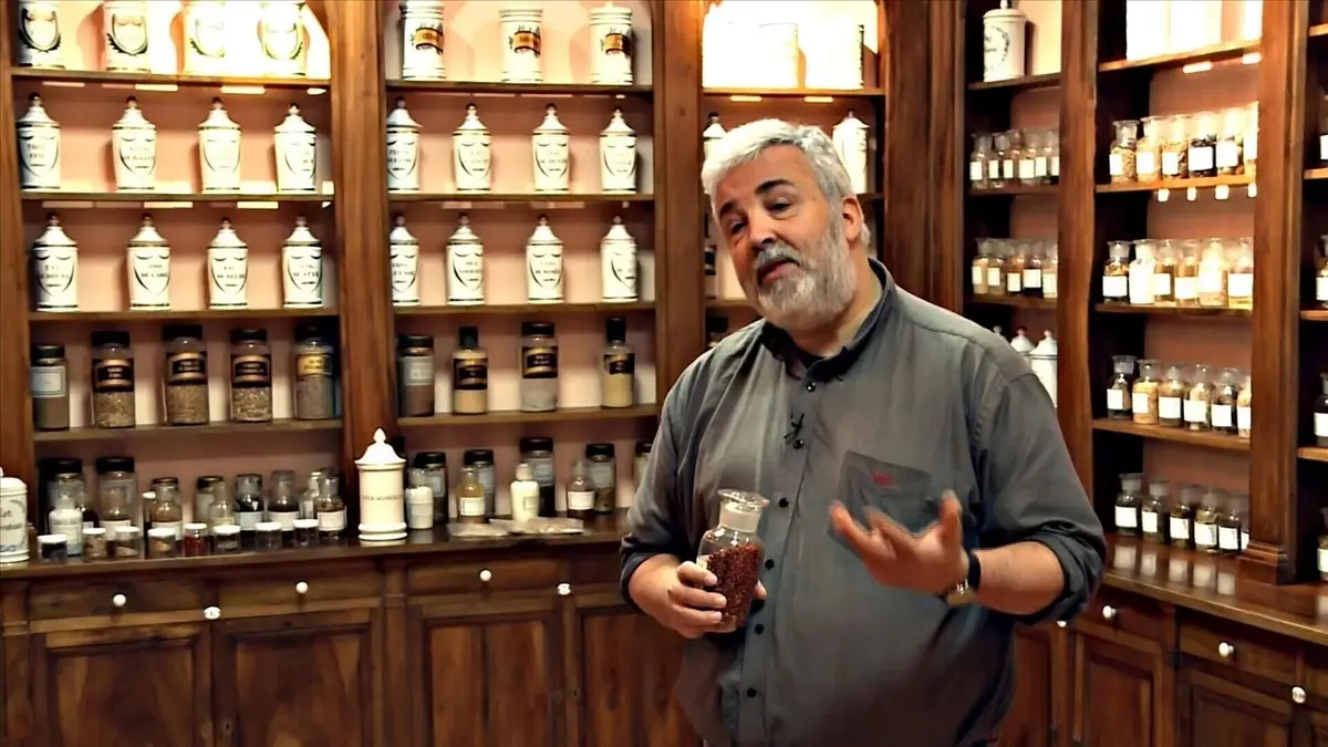 Forêt, pharmacie du monde