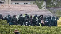 Forêts françaises, en quête d'avenir