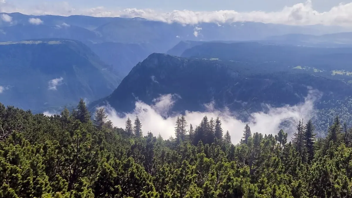 Forêts primaires, avec les rangers du Monténégro