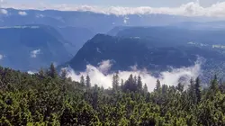 Forêts primaires, avec les rangers du Monténégro