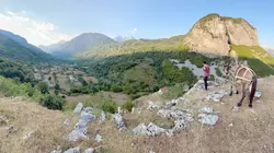 Forêts primaires, le poumon vert de l'Europe