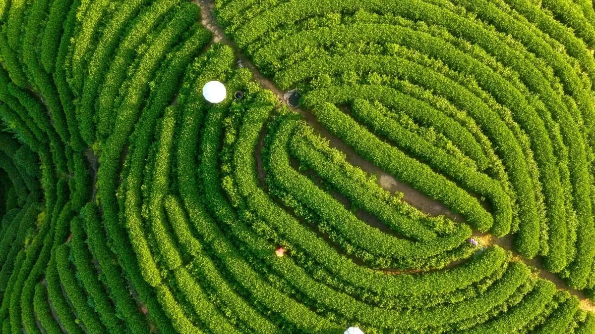 Forever Walk, The: China