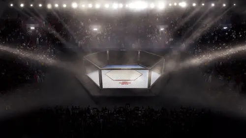 Format MMA : Bellator Dublin