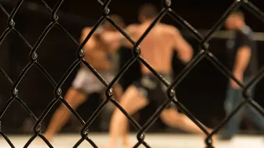 Format UFC UFC Fight Night 273. Poids mi-moyens : Gilbert Burns - Mike Malott