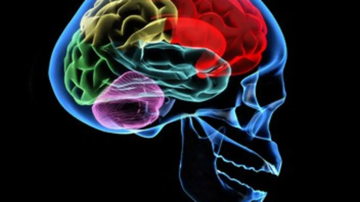 Formidable mécanique humaine E04 La puissance cérébrale