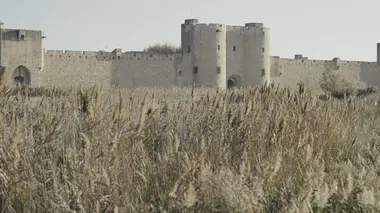 Forteresses assiégées Acre : le choc des Titans